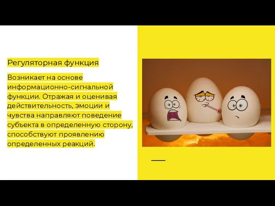 Регуляторная функция Возникает на основе информационно-сигнальной функции. Отражая и оценивая действительность,