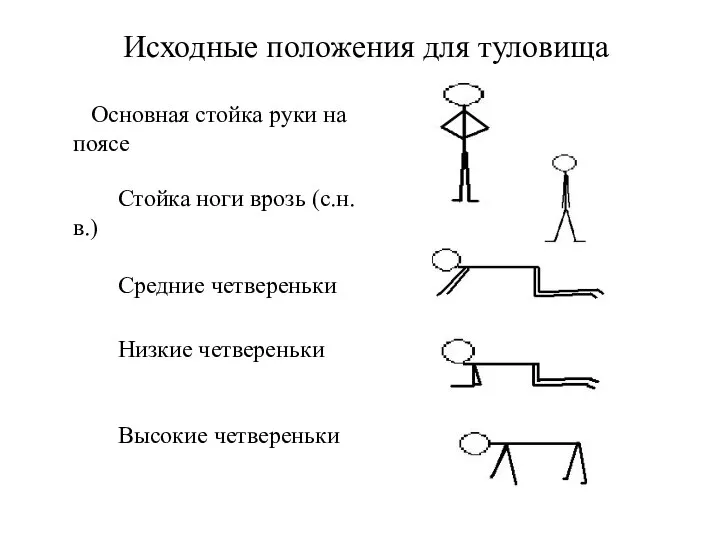 Исходные положения для туловища