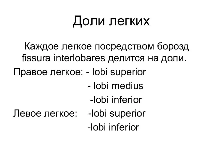 Доли легких Каждое легкое посредством борозд fissura interlobares делится на доли.