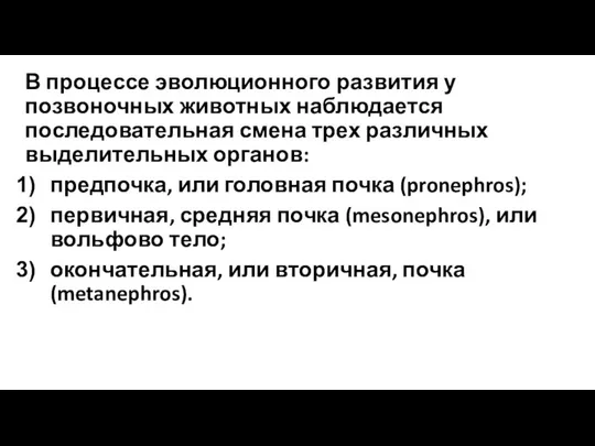 В процессе эволюционного развития у позвоночных животных наблюдается последовательная смена трех