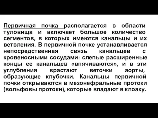 Первичная почка располагается в области туловища и включает большое количество сегментов,