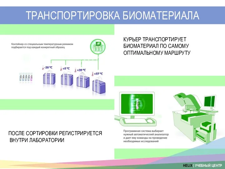 ТРАНСПОРТИРОВКА БИОМАТЕРИАЛА КУРЬЕР ТРАНСПОРТИРУЕТ БИОМАТЕРИАЛ ПО САМОМУ ОПТИМАЛЬНОМУ МАРШРУТУ ПОСЛЕ СОРТИРОВКИ РЕГИСТРИРУЕТСЯ ВНУТРИ ЛАБОРАТОРИИ