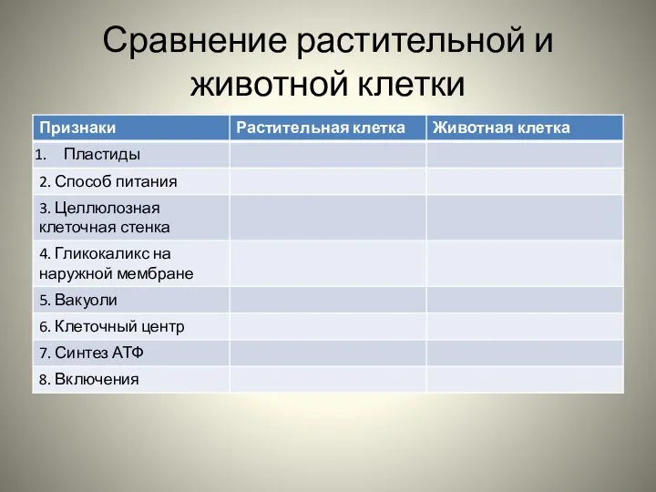 Сравнение растительной и животной клетки