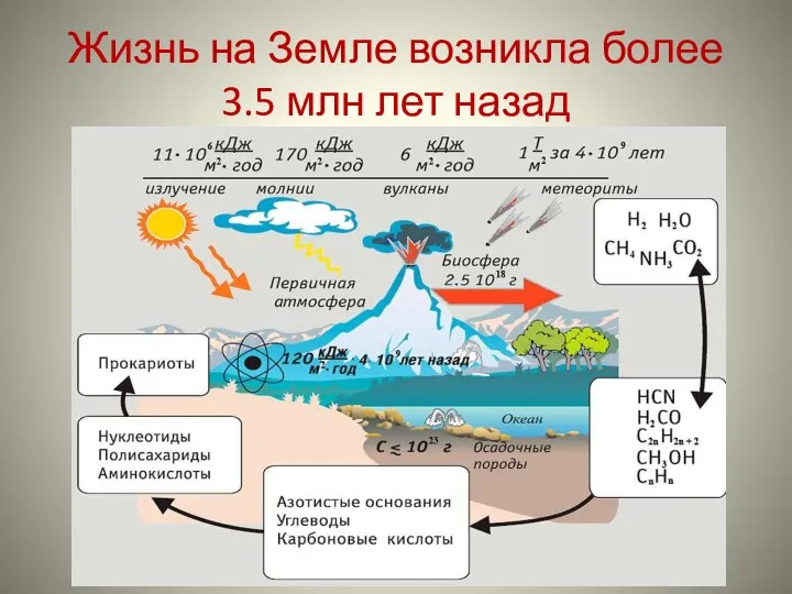 Жизнь на Земле возникла более 3.5 млн лет назад