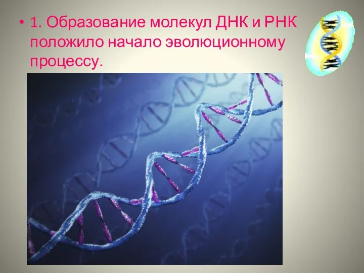 1. Образование молекул ДНК и РНК положило начало эволюционному процессу.