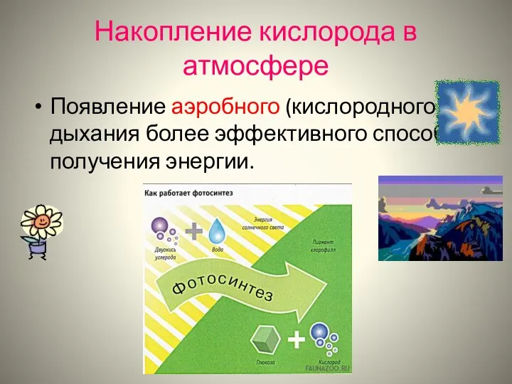 Накопление кислорода в атмосфере Появление аэробного (кислородного) дыхания более эффективного способа получения энергии.