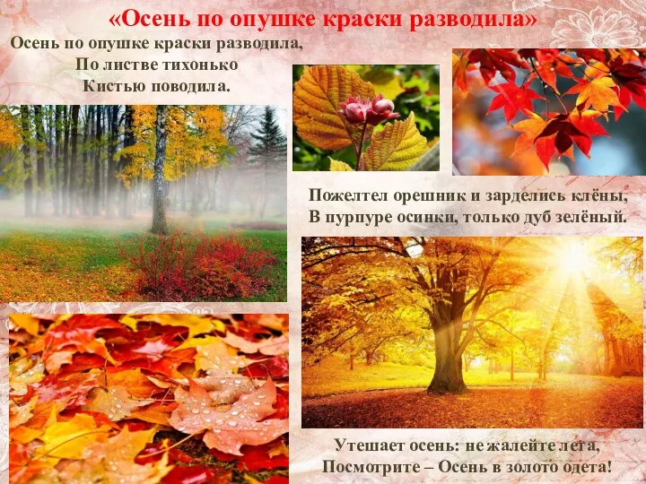 «Осень по опушке краски разводила» Утешает осень: не жалейте лета, Посмотрите
