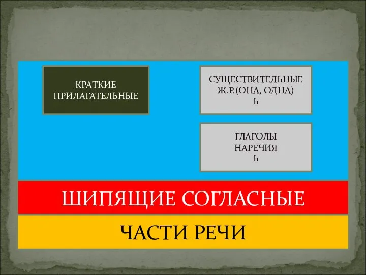 ШИПЯЩИЕ СОГЛАСНЫЕ ЧАСТИ РЕЧИ КРАТКИЕ ПРИЛАГАТЕЛЬНЫЕ СУЩЕСТВИТЕЛЬНЫЕ Ж.Р.(ОНА, ОДНА) Ь ГЛАГОЛЫ НАРЕЧИЯ Ь