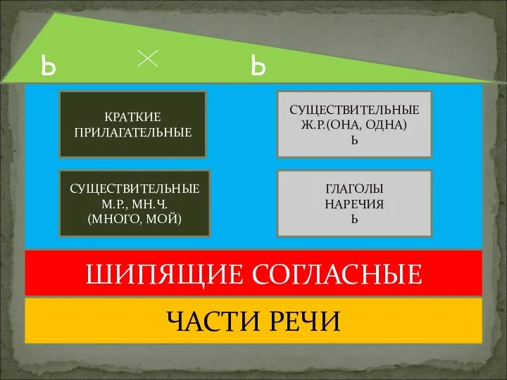 ШИПЯЩИЕ СОГЛАСНЫЕ ЧАСТИ РЕЧИ КРАТКИЕ ПРИЛАГАТЕЛЬНЫЕ СУЩЕСТВИТЕЛЬНЫЕ М.Р., МН.Ч. (МНОГО, МОЙ)