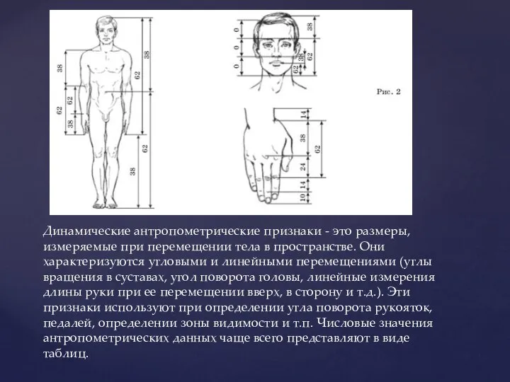 Динамические антропометрические признаки - это размеры, измеряемые при перемещении тела в