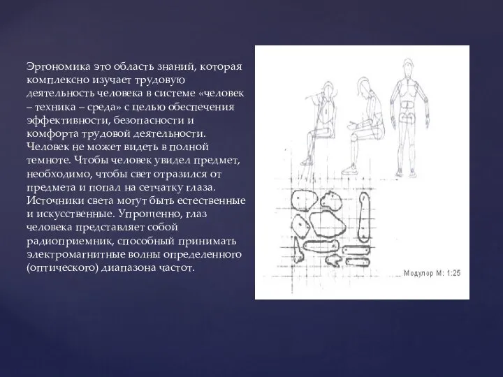 Эргономика это область знаний, которая комплексно изучает трудовую деятельность человека в