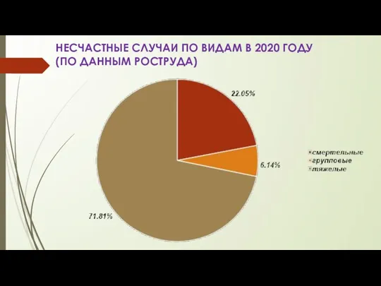 НЕСЧАСТНЫЕ СЛУЧАИ ПО ВИДАМ В 2020 ГОДУ (ПО ДАННЫМ РОСТРУДА)