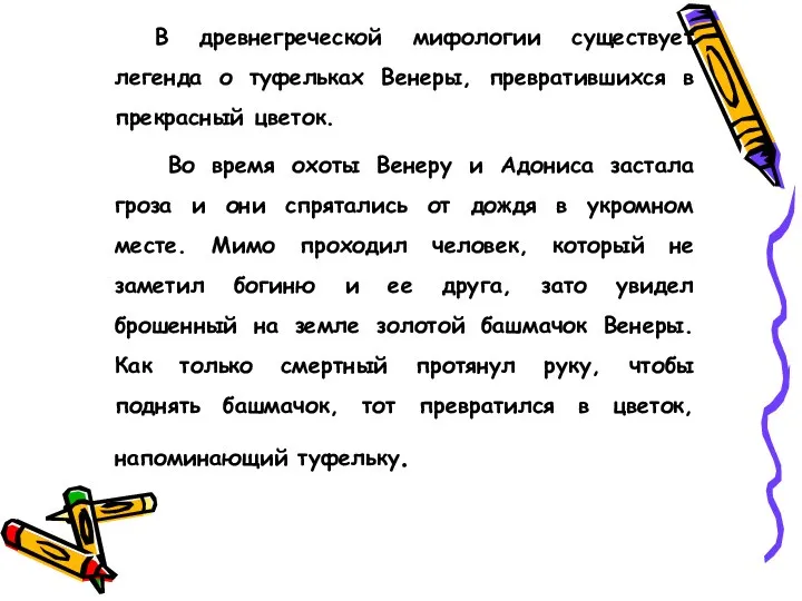 В древнегреческой мифологии существует легенда о туфельках Венеры, превратившихся в прекрасный