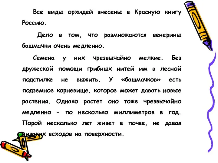 Все виды орхидей внесены в Красную книгу Россию. Дело в том,