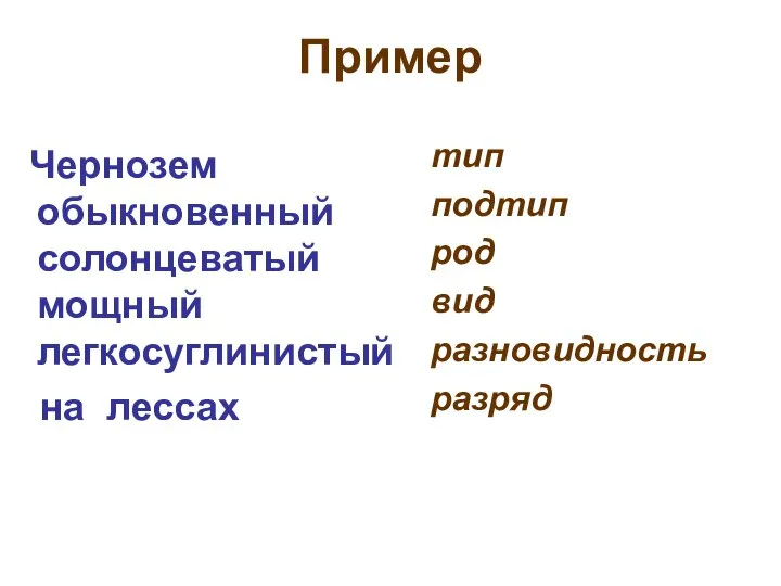 Пример Чернозем обыкновенный солонцеватый мощный легкосуглинистый на лессах тип подтип род вид разновидность разряд