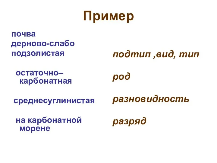 Пример почва дерново-слабо подзолистая остаточно–карбонатная среднесуглинистая на карбонатной морене подтип ,вид, тип род разновидность разряд