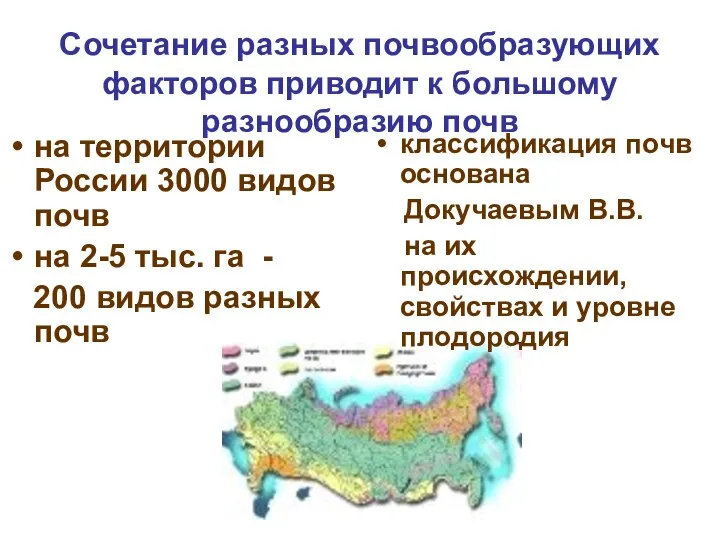 Сочетание разных почвообразующих факторов приводит к большому разнообразию почв на территории