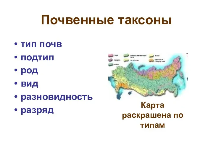 Почвенные таксоны тип почв подтип род вид разновидность разряд Карта раскрашена по типам