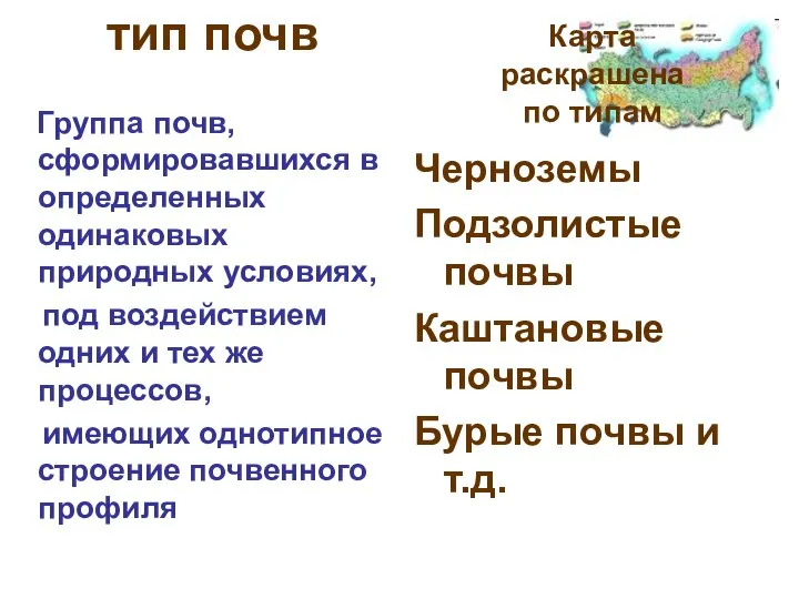 тип почв Группа почв, сформировавшихся в определенных одинаковых природных условиях, под