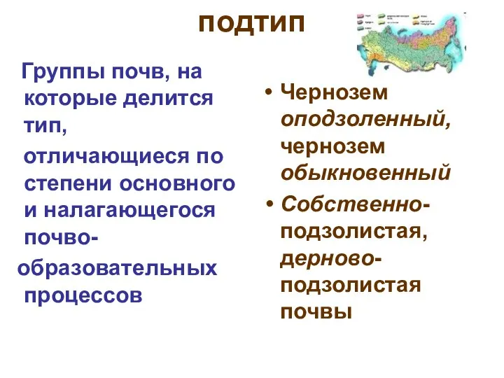 подтип Группы почв, на которые делится тип, отличающиеся по степени основного