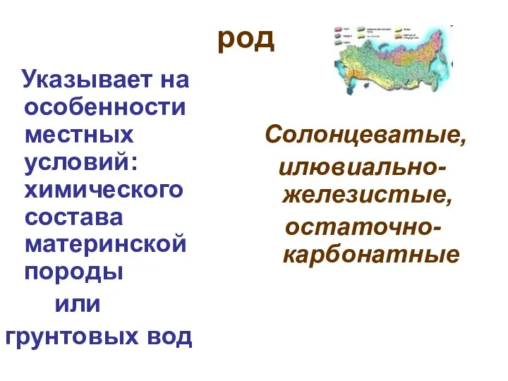 род Указывает на особенности местных условий: химического состава материнской породы или грунтовых вод Солонцеватые, илювиально-железистые, остаточно-карбонатные