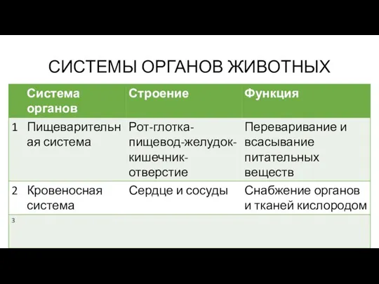 СИСТЕМЫ ОРГАНОВ ЖИВОТНЫХ