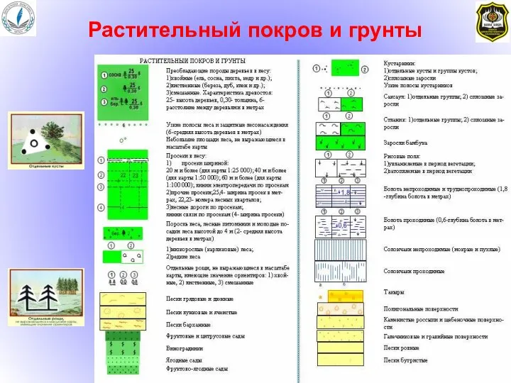 Растительный покров и грунты