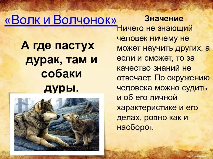 «Волк и Волчонок» А где пастух дурак, там и собаки дуры.