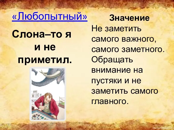 «Любопытный» Слона–то я и не приметил. Значение Не заметить самого важного,