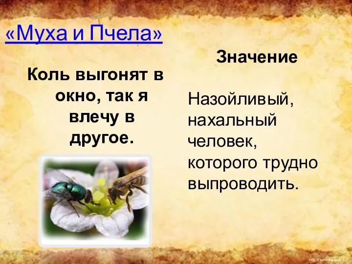 «Муха и Пчела» Коль выгонят в окно, так я влечу в