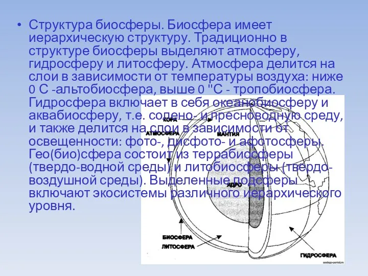 Структура биосферы. Биосфера имеет иерархическую структуру. Традиционно в структуре биосферы выделяют