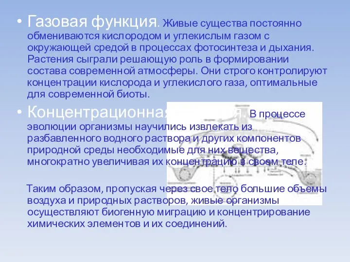 Газовая функция. Живые существа постоянно обмениваются кислородом и углекислым газом с