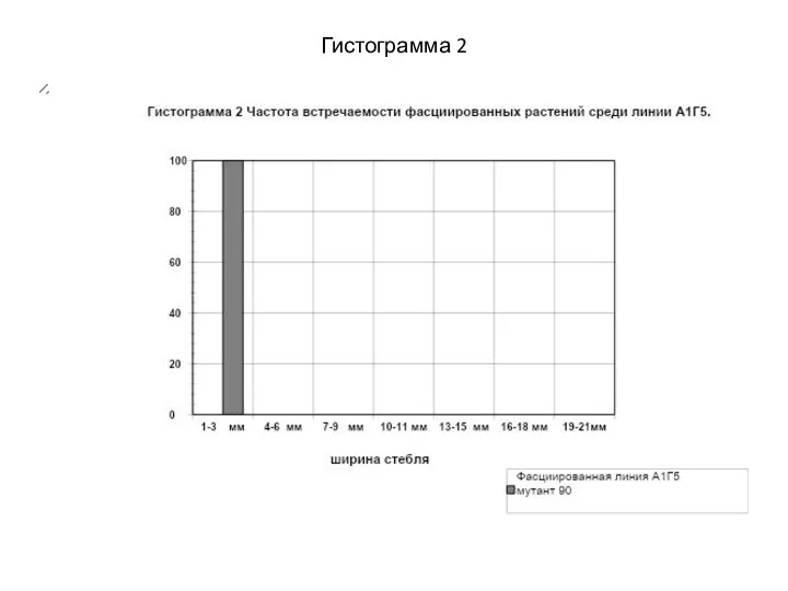 Гистограмма 2