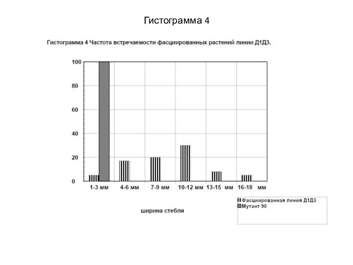 Гистограмма 4