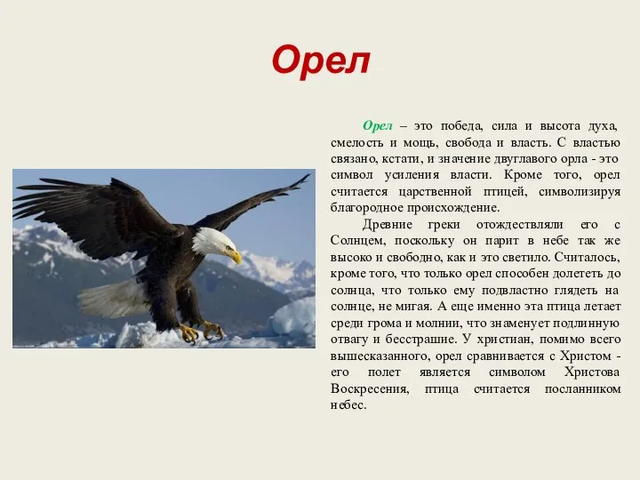 Орел Орел – это победа, сила и высота духа, смелость и