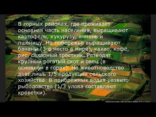 B горных районах, где проживает основная часть населения, выращивают картофель, кукурузу,