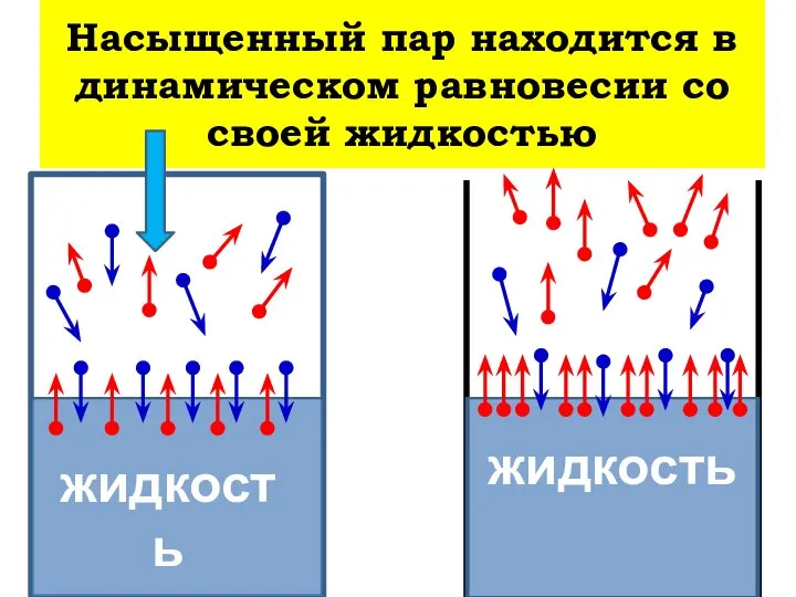 Насыщенный пар находится в динамическом равновесии со своей жидкостью жидкость жидкость