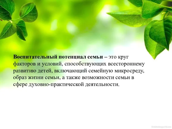 Воспитательный потенциал семьи – это круг факторов и условий, способствующих всестороннему