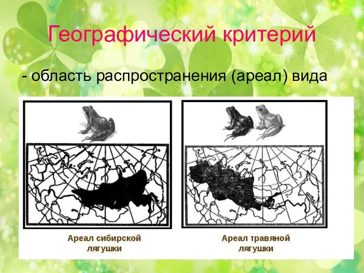 Географический критерий - область распространения (ареал) вида