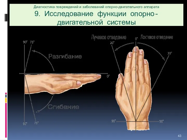 Диагностика повреждений и заболеваний опорно-двигательного аппарата 9. Исследование функции опорно-двигательной системы