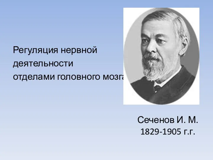 Регуляция нервной деятельности отделами головного мозга Сеченов И. М. 1829-1905 г.г.