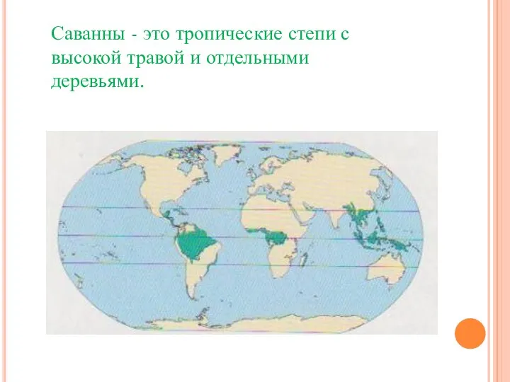 Саванны - это тропические степи с высокой травой и отдельными деревьями.