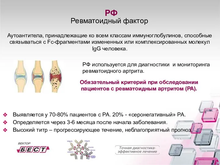 РФ Ревматоидный фактор РФ используется для диагностики и мониторинга ревматоидного артрита.