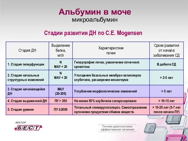 Стадии развития ДН по C.E. Mogensen Альбумин в моче микроальбумин