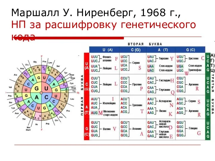 Маршалл У. Ниренберг, 1968 г., НП за расшифровку генетического кода (А)