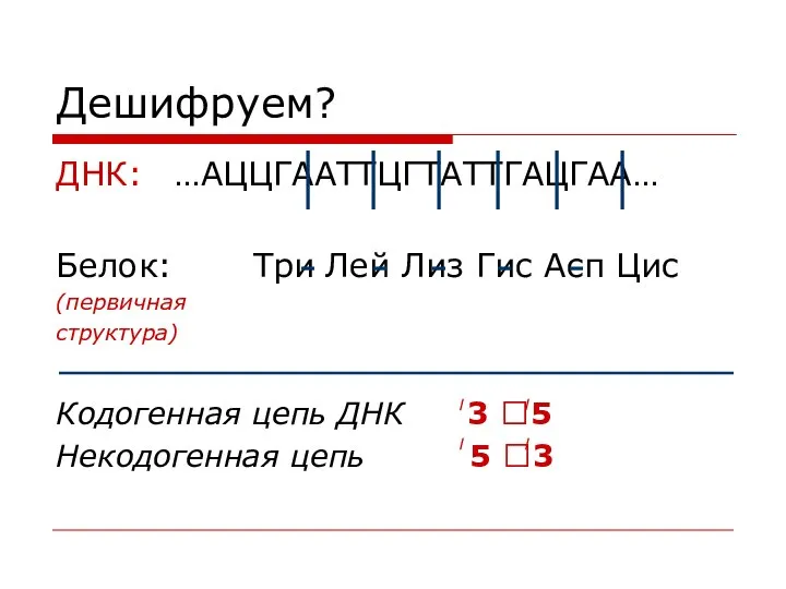 Дешифруем? ДНК: …АЦЦГААТТЦГТАТТГАЦГАА… Белок: Три Лей Лиз Гис Асп Цис (первичная