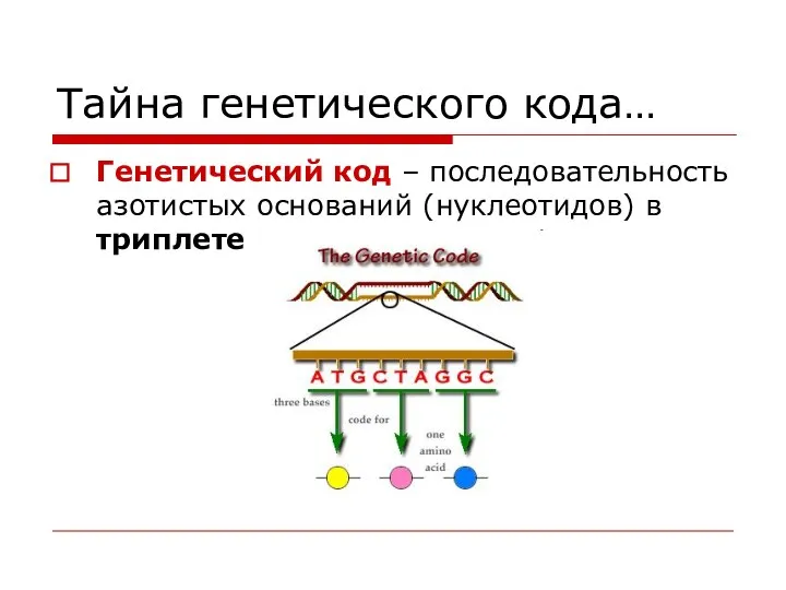 Тайна генетического кода… Генетический код – последовательность азотистых оснований (нуклеотидов) в триплете