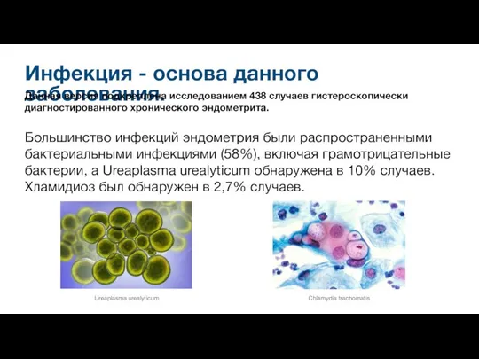 Инфекция - основа данного заболевания. Данная версия подкреплена исследованием 438 случаев