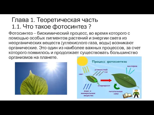 Глава 1. Теоретическая часть 1.1. Что такое фотосинтез ? Фотосинтез –