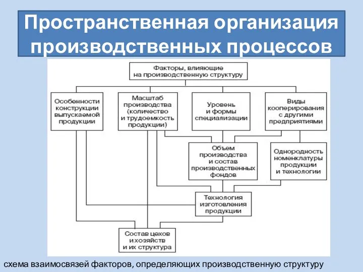 Пространственная организация производственных процессов схема взаимосвязей факторов, определяющих производственную структуру предприятия.